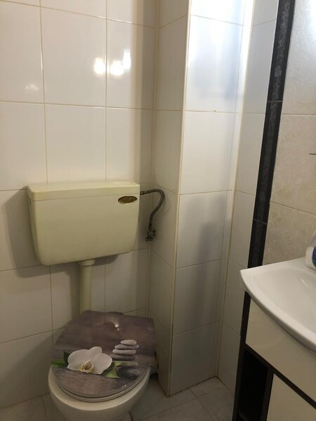 Mihai Bravu, Banu Udrea,