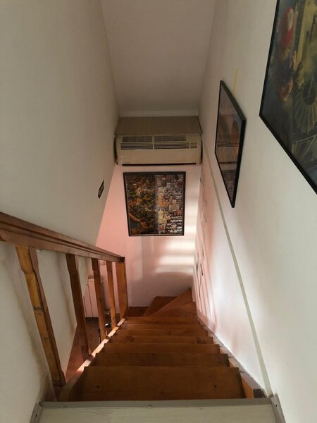 Mihai Bravu, Banu Udrea,