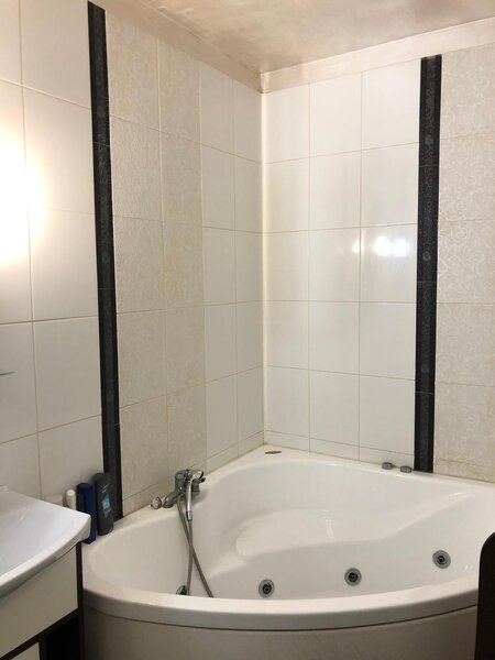 Mihai Bravu, Banu Udrea,